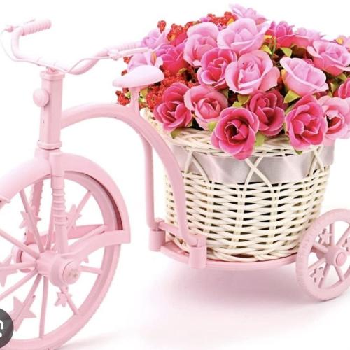 Velosipedli gul