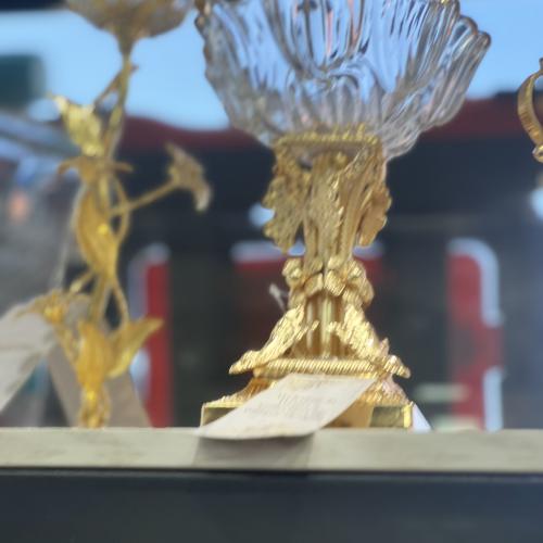 Bagema wenix
