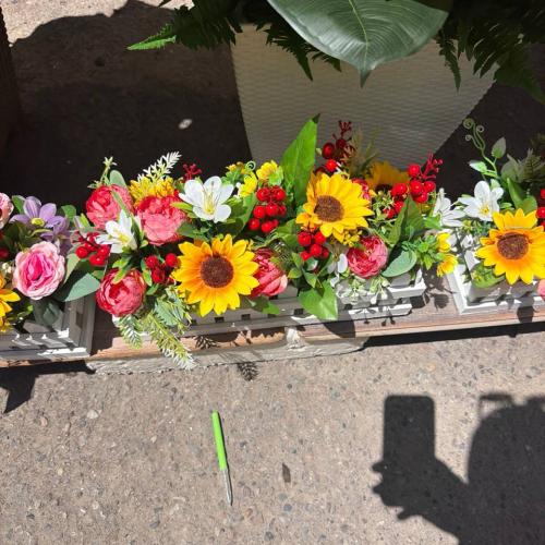 Savat gullar Gerbera