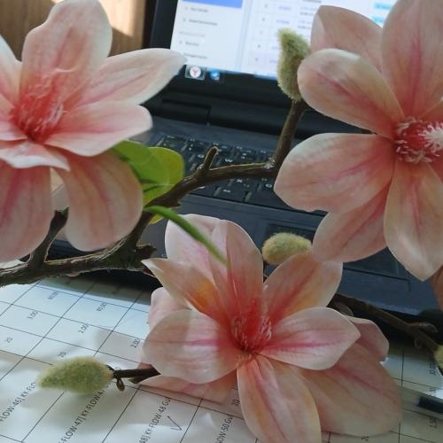 Gul KY-FLOW-48